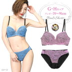 脇高フラワーレースブラジャー&ショーツセット下着(J3121R) G H 70 75 80 85 90 95 大きいサイズ ※特価につきまとめ買い割引対象外