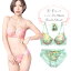 花柄レースブラジャー&ショーツセット下着(J-3384) E F 75 80 85 90 大きいサイズ あす楽