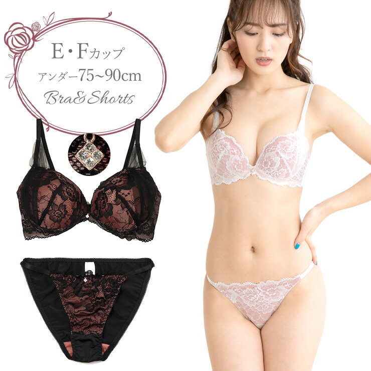 サイドヴェールレース ブラジャー ショーツ セット 下着(J2065) E F 75 80 85 90 大きいサイズ bs2287 ※特価につきまとめ買い割引対象外