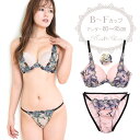 脇高 ボタニーク ブラジャー ショーツ セット 下着(J7036) ライトベージュ ピンク B C D E F 80 85 90 95 大きいサイズ bs2416(4)