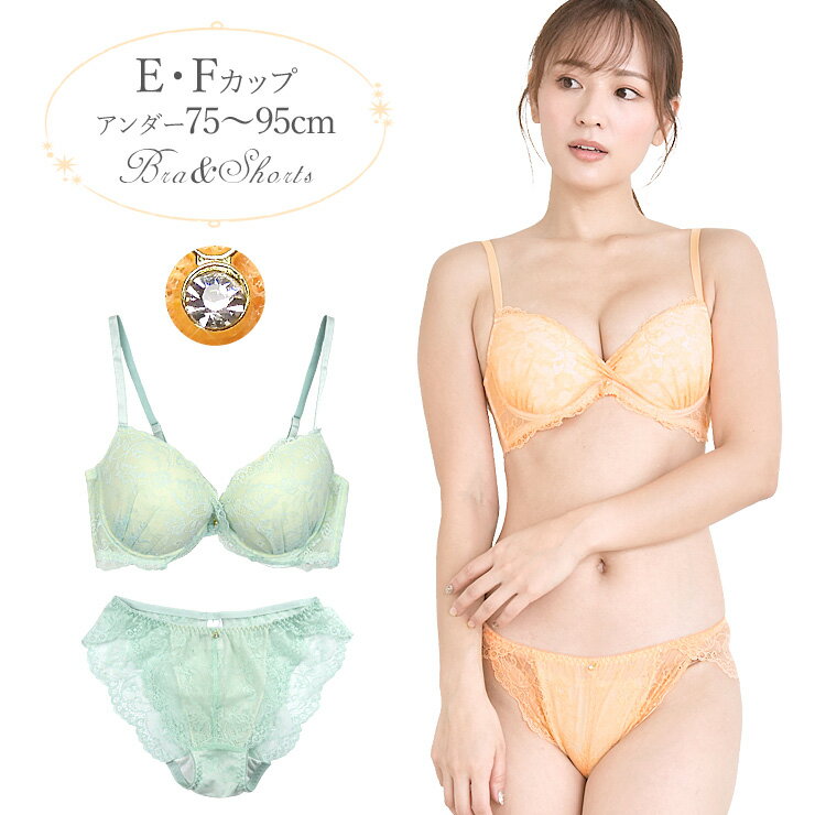 胸元カシュクール総レースブラジャー...