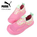 PUMA Aquacat Shield Fruits PS キッズ・ジュニア用スリッポンシューズ 17 18 19 20 21 プーマ 383768 01 アクアキャット シールド フルーツ スニーカー サンダル 子供 子ども 靴 くつ 女の子 女児 ピンク prism pink-soothing sea 箱アウトレット 送料無料