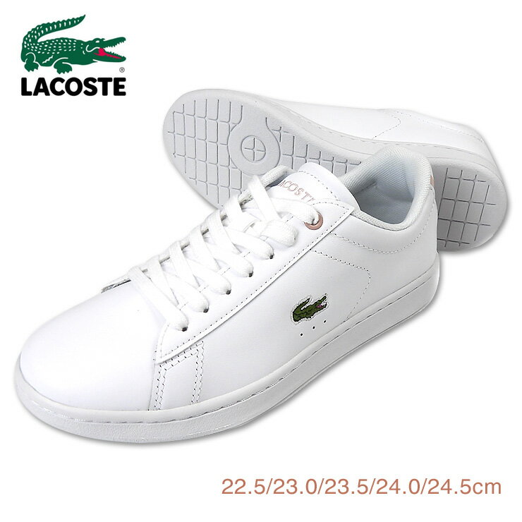 LACOSTE CARNABY EVO BL 21 1 SFA ǥѥåȥˡ塼 22.5 23 23.5 24 2...