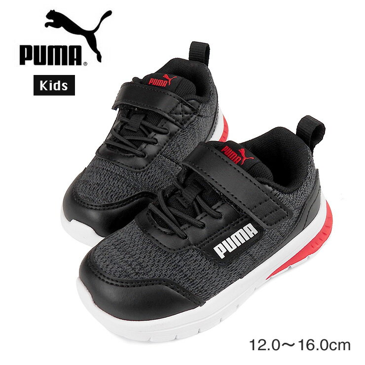 PUMA Evolve Street AC+ lnt 12 13 14 15 16 ˡ塼 ٥ӡå ס ܥ ...