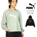 PUMA レディース トレーニング パール フーディー M L プーマ 519929 01 02 パーカー プルオーバー 女性 婦人 長袖 フード 帽子 トレーナー トップス ロゴ 吸水 速乾 ショート 短め オーバーサイズ ドルマン 黒 プーマブラック アクアグレー