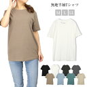 半袖Tシャツ レディース 春 夏 秋 綿 全8色 M L LL 41496 シンプル 無地 カットソー トップス ブラック ホワイト 杢チャコール グレー モカ サックス グリーン ベージュ 黒 白 茶色 青 緑 大きいサイズあり メール便可