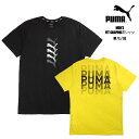 PUMA FIT GRAPHIC 半袖 Tシャツ メンズ M L XL 春夏秋 プーマ フィット グラフィック 524655 01 40 男性 紳士 トレーニング ランニング ジョギング ドライセル 吸水 速乾 クルーネック 綿混 黒 黄色 蛍光 ブラック ネオンイエロー 大きいサイズあり メール便送料無料