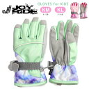 JOY RIDE スキーグローブ キッズ・トドラー 秋冬 グローブ KM KL 100～110 110～120 4～5才 5～6才 AG-7296 全2色 ジョイライド 子供用 女の子 女児 5本指手袋 てぶくろ 学校 通園 通学 アウトドア 裏起毛 ミント ピンク 緑 あす楽 メール便送料無料