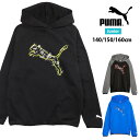 PUMA ACTIVE SPORTSフーディースウェット キッズ ジュニア 140 150 160 プーマ アクティブスポーツ 678533 01 51 47 春秋冬 裏毛 パーカー トレーナー 長袖 プルオーバー 子供 ボーイズ 男児 男の子 黒 青 PUMA BLACK PUMA BLACK-COOL DARK GRAY RACING BLUE 送料無料