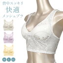 快適メッシュ ハーフトップブラジャー レディース グレー パープル クリーム M L LL 233010 カップ付きブラ ブラトップ ブラカップ ホック無し ノンワイヤーブラ ワイヤレス クロス ストレッチ レース Yバック 大人 花柄 フラワー 大きいサイズあり メール便送料無料 2494