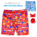 キッズ用サーフパンツ水着 男の子用 37759451 ブルー レッド 100 110 120 130 海パン 海水パンツ 短パン トランクス パイレーツ柄 メール便送料無料