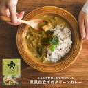 カレー レトルトカレー レトルト GOOD CACAO カカオカレー グリーンカレー スパイス 京風 3辛 クリーミー 食品 カカオ 白みそ 西京白味噌 なす ...