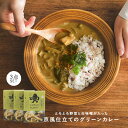 カレー レトルトカレー レトルト GOOD CACAO カカオカレー グリーンカレー 3点 セット スパイス 京風 3辛 クリーミー 食品 カカオ 白みそ 西京...