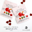 グミ 百年はちみつグミ だいじょうぶなもの レザーウッドハニー ざくろ味 2個セット まとめ買い はちみつ ザクロ 柘榴 ポリフェノール ギルトフリー ナチュラルグミ お菓子 上白糖不使用 麦芽飴 甜菜糖 ざくろ果汁 国産◇メール便不可【999】