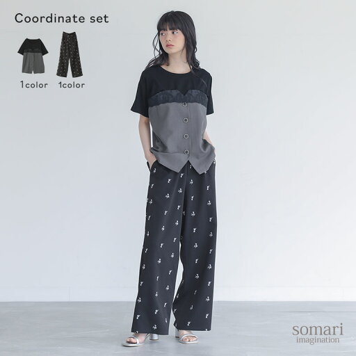 【送料無料】2点コーデセット 2025 レディース カットソー トップス Tシャツ 半袖 レイヤード レース 配色 無地 パンツ ボトムス スラックス ワイドパンツ 長ズボン 花柄 刺繍 春 夏 秋 オシャレウォーカー【メール便不可】【20】 【送料無料】2点コーデセット 2025 レディース カットソー トップス Tシャツ 半袖 レイヤード レース 配色 無地 パンツ ボトムス スラックス ワイドパンツ 長ズボン 花柄 刺繍 春 夏 秋 オシャレウォーカー【メール便不可】【20】
