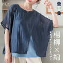 Tシャツ レディース トップス 半袖 カットソー シアー 透け感 ドル...(4)