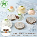 北海道 ご当地 アイス ギフト 8個 セット ( 夕張メロン チョコミント バニラ りんご ミルク ) ◆ スイーツ デザート お菓子 洋菓子 お取り寄せ ギフ...