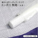 紙おしぼり エンボス無地 丸型 2箱セット(2,400本)1200本入/箱×2箱 レギュラーサイズ 業務用 プロ用送料無料/激安/まとめ買い/ケース販売/大量購入使い捨ておしぼり/オシボリ/使い捨て/紙オシボリ