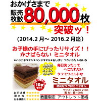 ミニタオル10枚セット約21cm激安タオルハンカチあす楽対応14:00迄アウトレット商品ハンドタオルハンカチタグ付きおしぼりお友達に粗品にプレゼントに【子ども子供用保育園幼稚園】【楽天ランキング1位入賞人気商品につき再入荷!!】