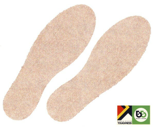 Breeze Bronze 消臭クロスインソール 中敷