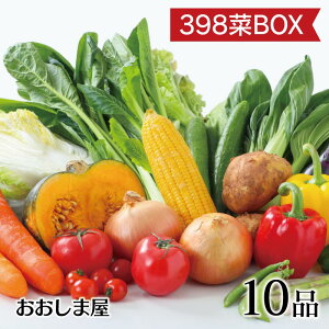 野菜 10品 詰め合わせ 送料無料 398菜BOX 野菜セット 夏野菜 冬野菜 冷蔵便 おおしま屋出荷 福袋大嶌屋（おおしまや）