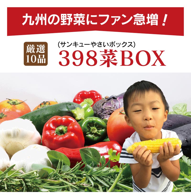 野菜 10品 詰め合わせ 送料無料 398菜BOX 野菜セット 夏野菜 冬野菜 冷蔵便 おおしま屋出荷 福袋大嶌屋（おおしまや） 2