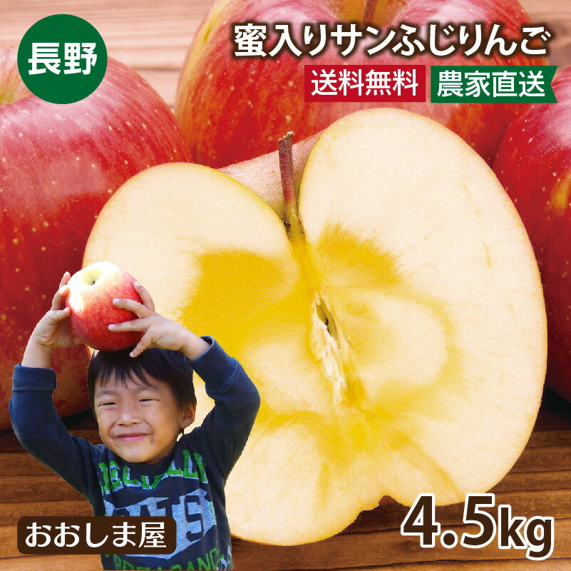 長野県産 蜜入りサンふじりんご 4.5kg 大小さまざま（約12玉-18玉前後）家庭用 小傷あり ＜12月下旬より順次出荷＞グルメ フルーツ 果物 送料無料 産地直送 おおしまやのサムネイル