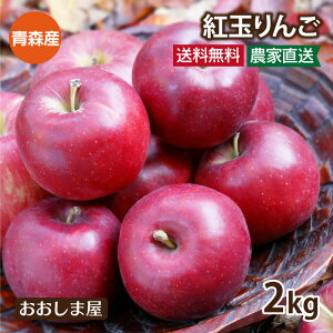 青森産 紅玉りんご 送料無料 2kg（大小混合5-8玉入り） ＜9月下旬より順次出荷＞ 酸っぱい 酸味のある リンゴ 林檎 アップルパイ スイーツに最適 果物 フルーツ 農家直送 大嶌屋(おおしまや)