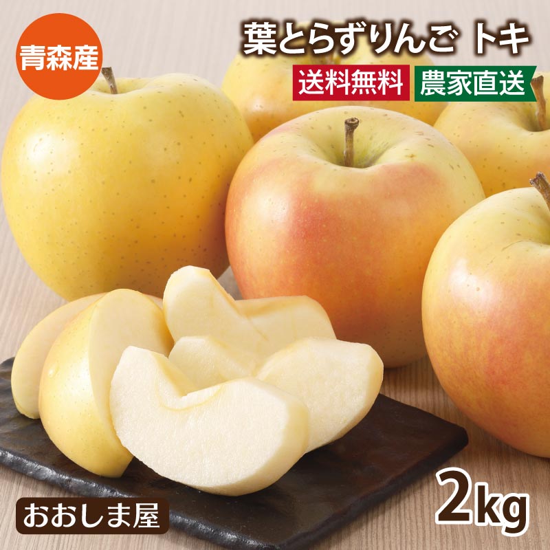 青森 黄金のりんご トキ 2kg(大小混合 5～8玉前後) 送料無料 ＜10月上旬より出荷予定＞ 国産 とき リンゴ 林檎 黄色 青りんご フルーツ 果物 大嶌屋（おおしまや）