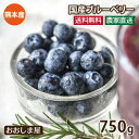 無農薬 生 ブルーベリー 送料無料 農家直送 産地直送【125g×6パック入り 合計750g】<8月中旬より順次出荷予定> 興梠農園 山都町 ギフト プレゼント...