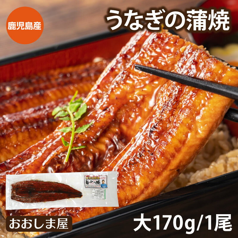 うなぎ 国産 鹿児島 ウナギ 蒲焼き 大サイズ 1尾 170g前後 送料別 鰻 かば焼き 食品 グルメ ＜おおしま屋発送の冷凍便と同梱可能＞ 大嶌屋（おおしまや）【gift】