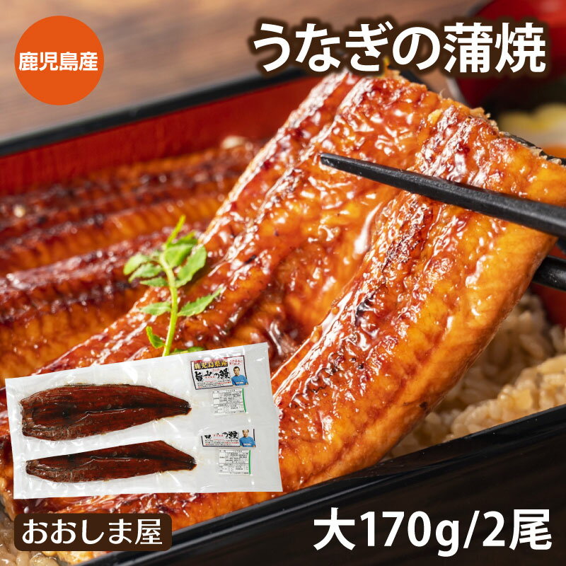 うなぎ 国産 鹿児島 ウナギ 蒲焼き 大サイズ2尾セット 送料無料 鰻 かば焼き 食品 グルメ ＜おおしま屋発送の冷凍便と同梱可能＞ 大嶌屋（おおしまや）【gift】