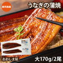 うなぎ 国産 鹿児島 ウナギ 蒲焼き 大サイズ2尾セット 送料無料 鰻 かば焼き 食品 グルメ <おおしま屋発送の冷凍便と同梱可能> 大嶌屋(おおしまや)【gi...