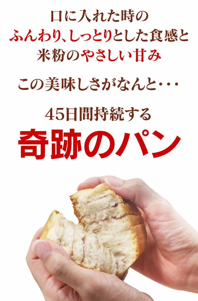 米粉パン 6種食べ比べセット 送料無料 天然酵母パン 国産米粉 パン 長期保存 ロングライフ ブレッド ※グルテンフリーではありません 大嶌屋（おおしまや） 3