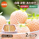 佐賀産 白いちご 淡雪 あわゆき 2パック イチゴ 苺 ＜2023年12月中旬より出荷予定＞ 果物  ...