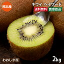 国産 キウイ ヘイワード 送料無料 2kg(12-20玉) グリーンキウイ キウイフルーツ<11月中旬より順次出荷> 熊本産 特別栽培 除草剤 化学肥料不使用 ...