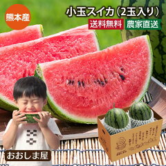 https://thumbnail.image.rakuten.co.jp/@0_mall/oshimaya-1991/cabinet/fruits/kodama_suica_1.jpg