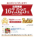 ＼700円OFFクーポン！4/17まで／ スイカ 熊本産 小玉スイカ 2玉入り 送料無料 ＜5月上旬より順次出荷＞ 母の日 甘い すいか 熊本 西瓜 産地直送 農家直送 食べ物 ギフト 2024 果物 フルーツ おおしまや【gift】