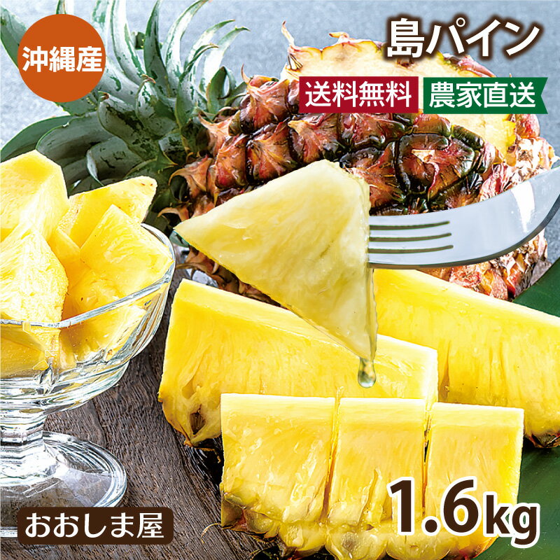 沖縄 パイナップル 濃蜜 島パイン 1.6kg 送料無料 ＜4月下旬より順次出荷＞ 品種おまかせ 産地直送 農家直送 国産 果…