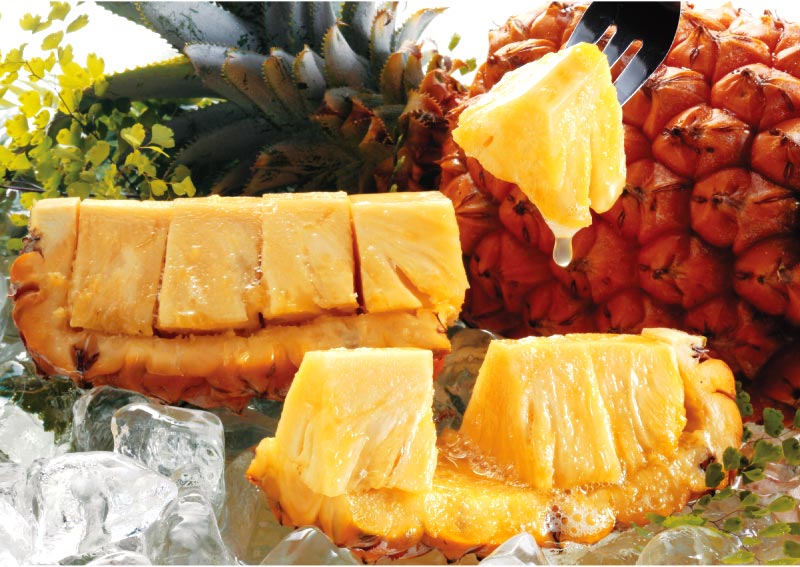 ���� �ѥ��ʥåץ� ǻ̪ ��ѥ��� 1.6kg ����̵�� ��4��ܤ��缡�в١� �ʼ浪�ޤ��� ����ľ�� ����ľ�� �� ��ʪ ��ɽ�� �ե롼�� ���� �����