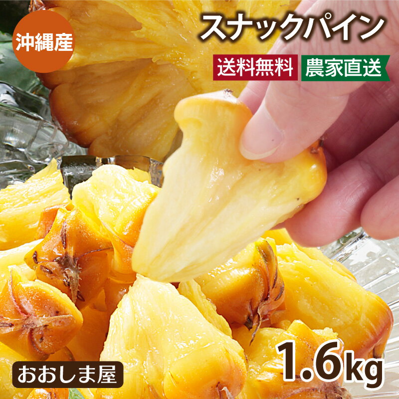 パイナップル 送料無料 沖縄 スナックパイン 1.6kg （約2玉-4玉入り）ちぎって食べる パイナップル ＜5月上旬より順次出荷＞ パイン ボゴールパイン 島パイン 国産 西表島 果物 フルーツ