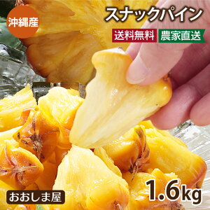 パイナップル 送料無料 沖縄 スナックパイン 1.6kg （約2玉-4玉入り）＜5月上旬より順次出荷＞ パイン ボゴールパイン 島パイン 国産 西表島 果物 フルーツ