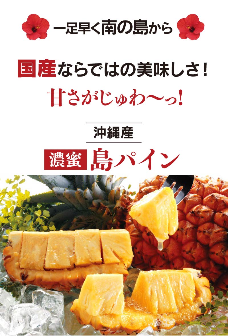 沖縄 パイナップル 島パイン 送料無料 2.5kg 約2玉～6玉入り ＜4月下旬より順次出荷＞ パイン 南国フルーツ 品種おまかせ 産地直送 農家直送 国産 フルーツ 果物 食品 グルメ 2