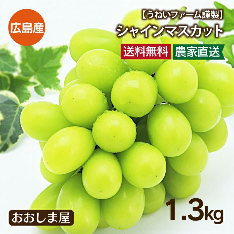 広島県産 シャインマスカット うねいファーム謹製 1.5kg(2-3房) ＜送料無料＞ ぶどう 葡萄 ブドウ 果物 フルーツ 産地直送 大嶌屋（おおしまや）のサムネイル