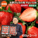 いちご 送料無料 やよいひめ 450g×2パック イチゴ やよい姫 苺 宮崎産 ＜12月中旬より出荷予定＞ ギフト箱入り ギフト プレゼント 贈答 農家直送 産地直送 フルーツ 果物 おおしまや【gift】