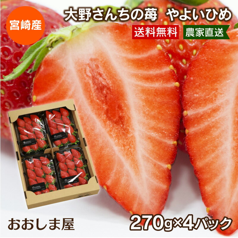 大野さんちの苺 やよいひめ （270g×4パック） 送料無料 宮崎産 いちご イチゴ ご家庭用 ＜1月上旬より出荷予定＞ 農家直送 産地直送 おおしまや