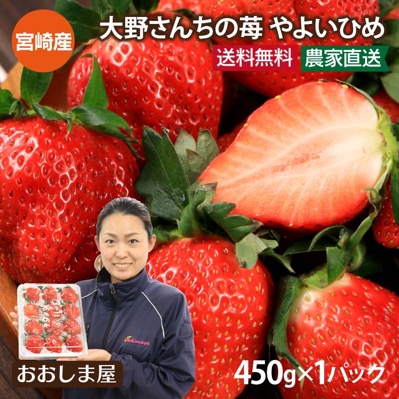 いちご 送料無料 やよいひめ 1パック 450g 9-15粒 イチゴ やよい姫 苺 宮崎産 ＜12月中旬より出荷予定＞ ギフト箱入り ギフト プレゼント 贈答 農家直送 産地直送 フルーツ 果物 スーパーセール おおしまや【gift】