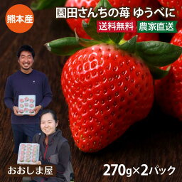 いちご ゆうべに 熊本産 2パック 送料無料 新品種 熊紅 農家直送 ブランド イチゴ 苺 ＜2024年1月中旬より出荷予定＞ ギフト プレゼント 贈答 進物 フルーツ 果物 おおしまや【gift】