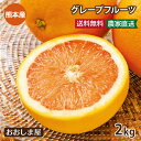 国産 グレープフルーツ 2kg 送料無料 ＜3月下旬より出荷予定＞ 熊本産 ノーワックス JAPANルビー ジャパンルビー み…