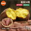 さつまいも 高系 14号 5kg 送料無料 生芋 さつま芋 唐芋 からいも 土付き 泥付き 野菜 旬 料理 国産 熊本 大嶌屋（おおしまや）【gift】